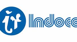 INDOCO REMEDIES LTD logo